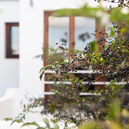 98 And Terrace Apartamento *